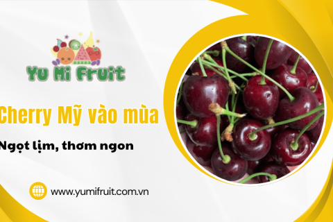 Cherry Mỹ vào mùa – Ngọt lịm, thơm ngon