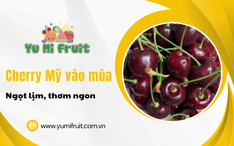 Cherry Mỹ vào mùa
