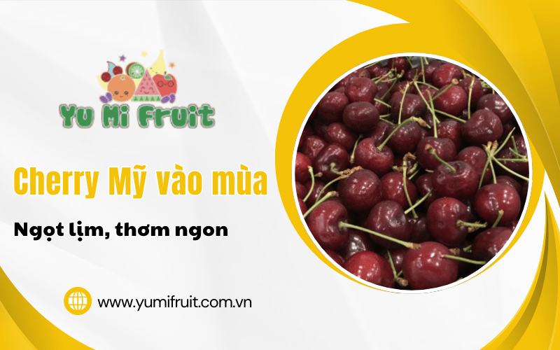 Cherry Mỹ vào mùa