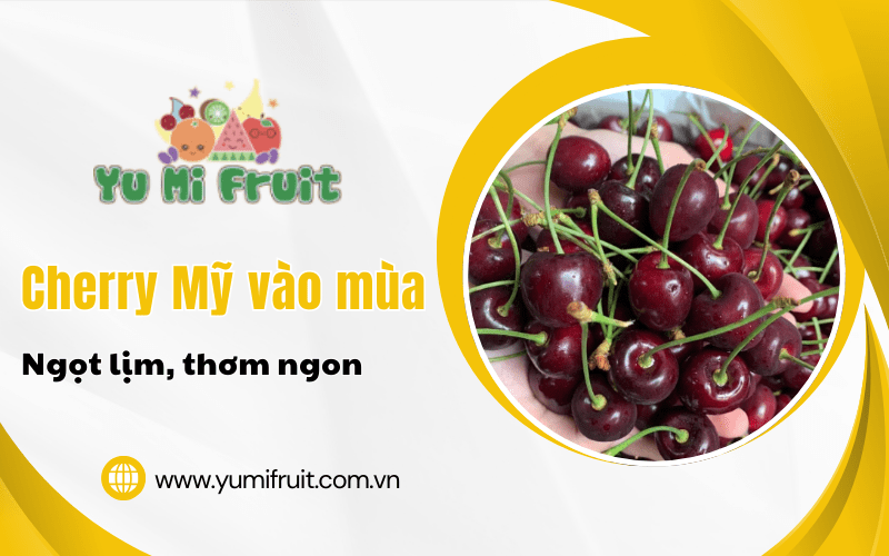 Cherry Mỹ vào mùa