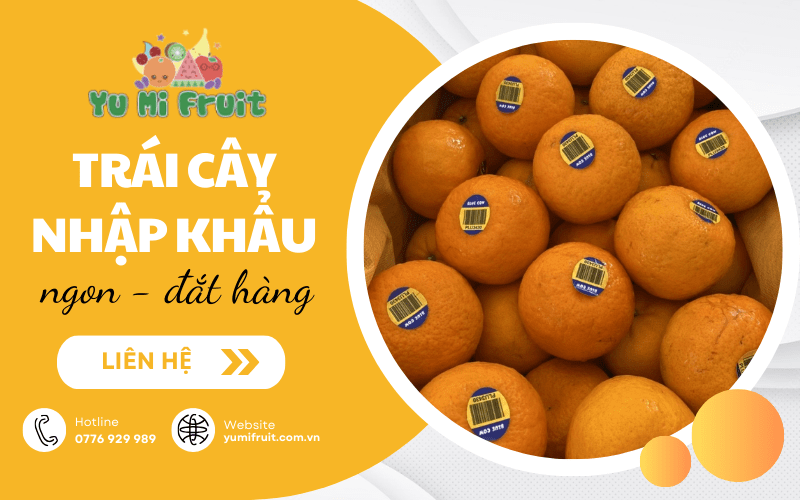 trái cây nhập khẩu