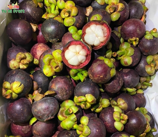 Măng cụt Thái
