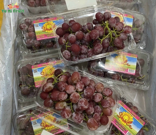 Nho Kẹo “ Cười “