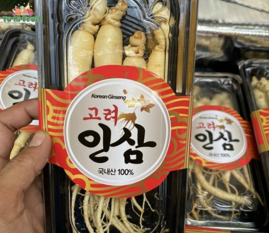 Sâm tươi Hàn Quốc