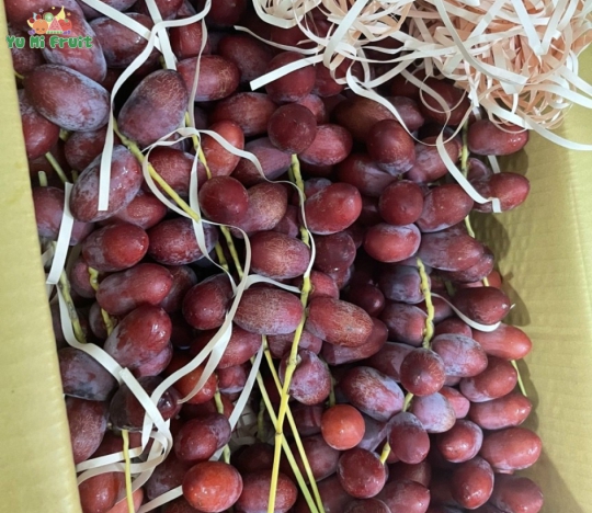 Chà là đỏ tươi