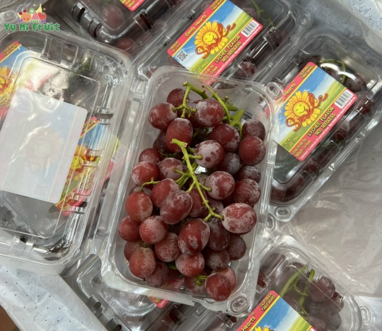 Nho Kẹo “ Cười “