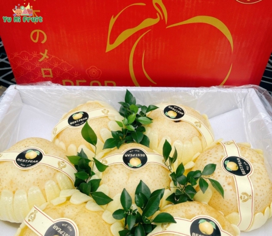 Lê sữa Hàn