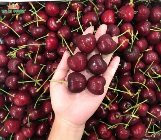 Cherry Canada