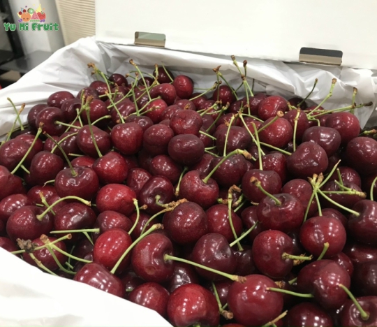 Cherry Canada