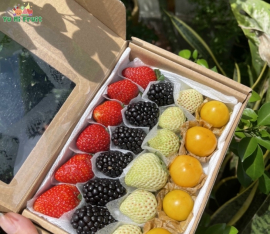 Set Dâu mix