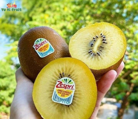 Kiwi vàng Newzealand