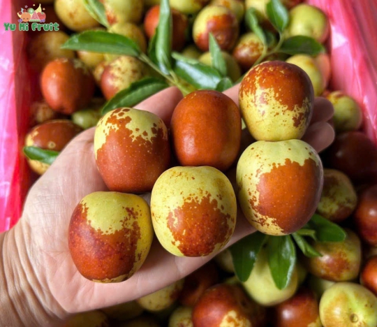 HỒNG TÁO