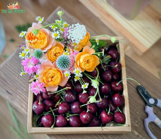 GIỎ TRÁI CÂY MẪU 13